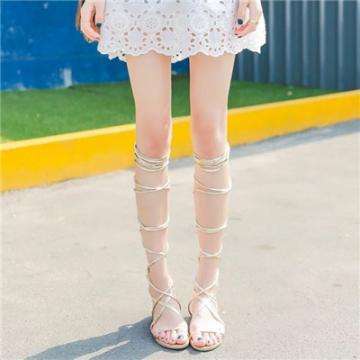 网络手机赌钱软件下载